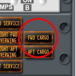 door_fwd_cargo_indicator